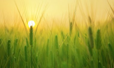 DAILY CURRENT AFFAIRS (23-JULY -2021)